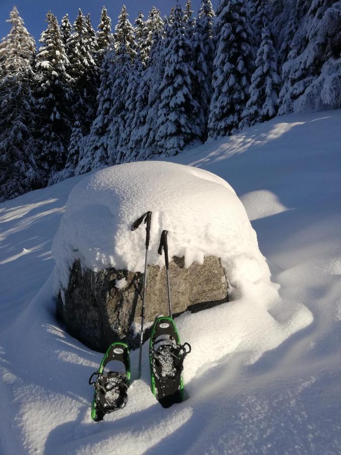 Apart Waldesruh Arzl im Pitztal Exterior foto